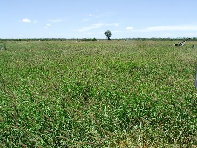 Bollon QLD 4488