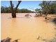 Bollon QLD 4488