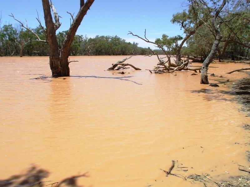 Bollon QLD 4488