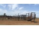 Bollon QLD 4488