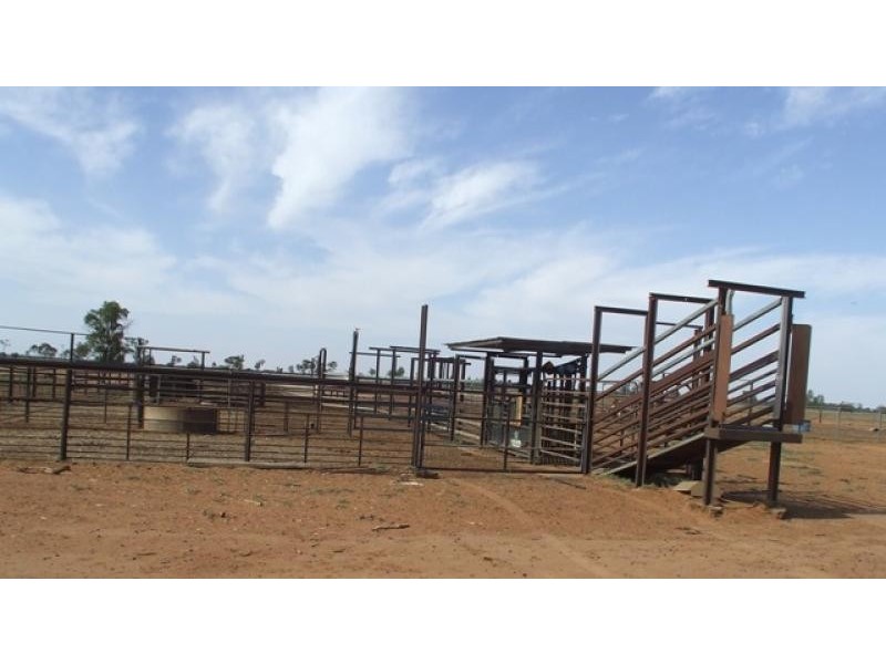 Bollon QLD 4488