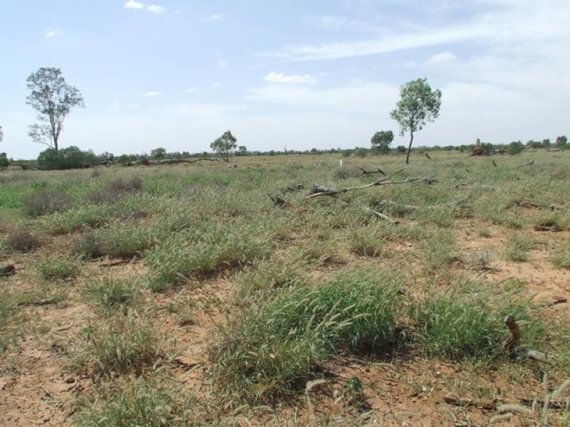 Bollon QLD 4488