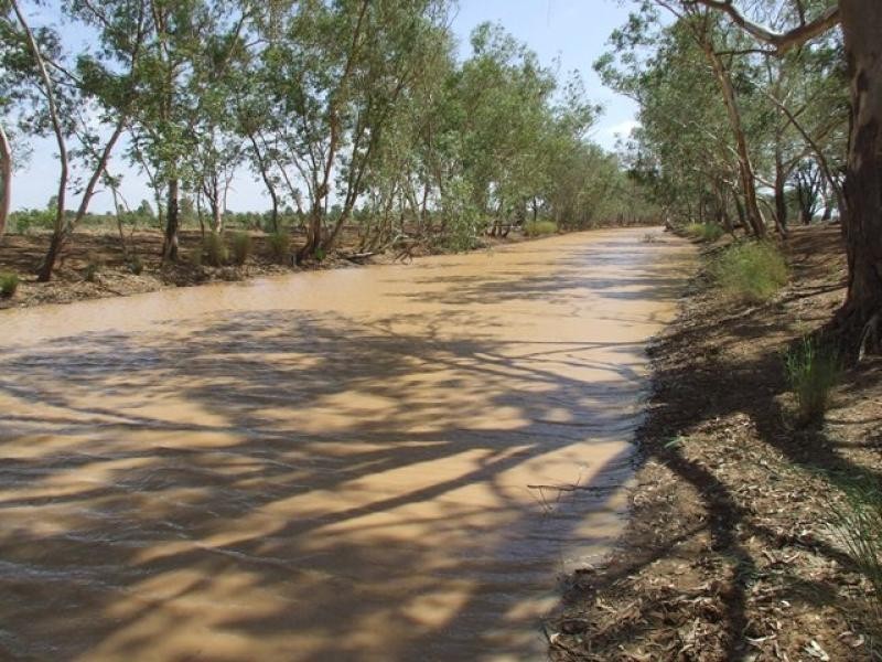 Bollon QLD 4488