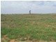 Bollon QLD 4488