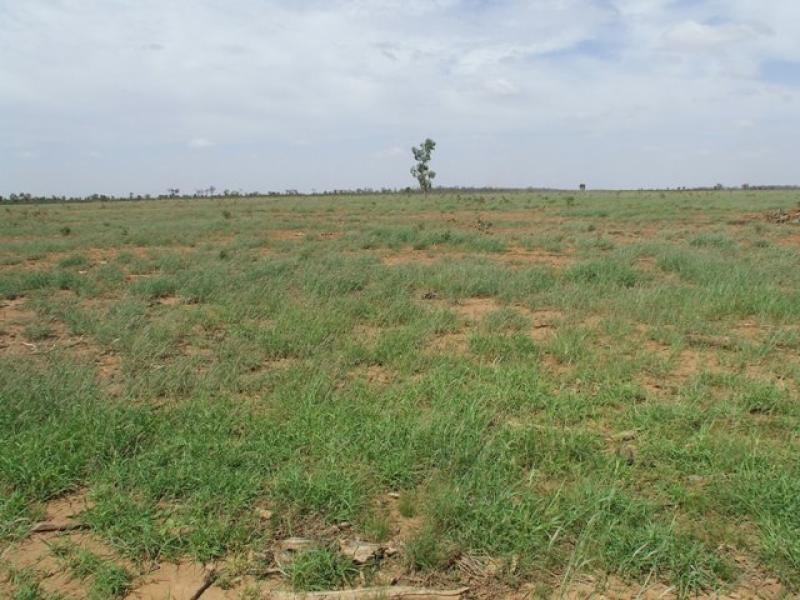 Bollon QLD 4488