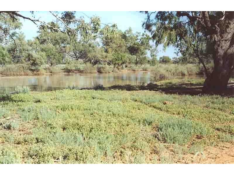 110 km south west of, Quilpie QLD 4480 the real estate agency Withdrawn