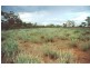 110 km south west of, Quilpie QLD 4480