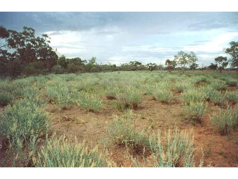 110 km south west of, Quilpie QLD 4480 the real estate agency Withdrawn