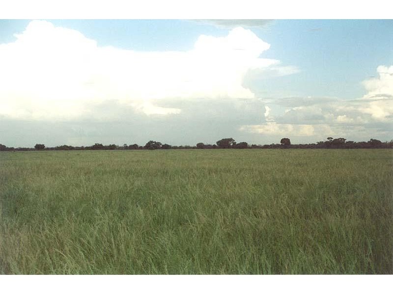 110 km south west of, Quilpie QLD 4480