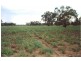 110 km south west of, Quilpie QLD 4480
