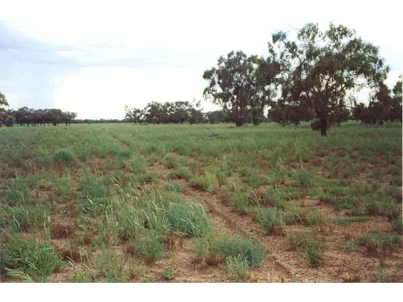 110 km south west of, Quilpie QLD 4480 the real estate agency Withdrawn