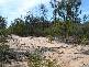 194 GOLDEN GLOW ROAD, Tara QLD 4421