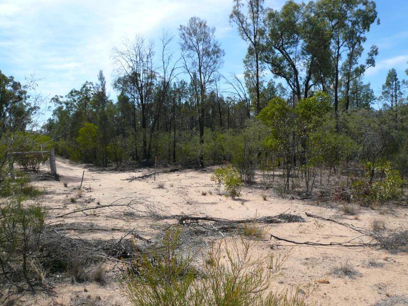 194 GOLDEN GLOW ROAD, Tara QLD 4421