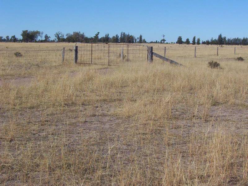 Columboola QLD 4415