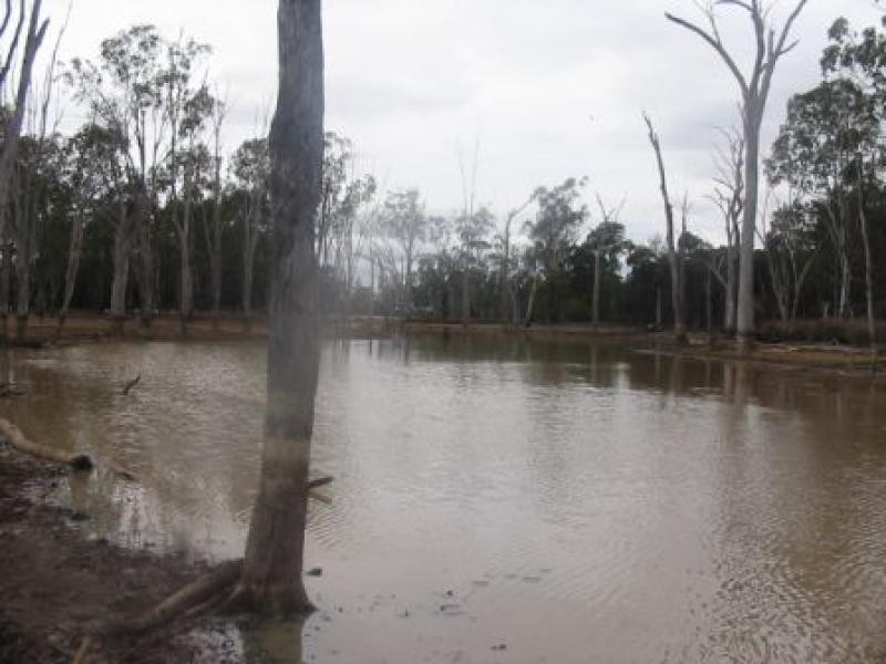 M/S 708 Jandowae, Jandowae QLD 4410