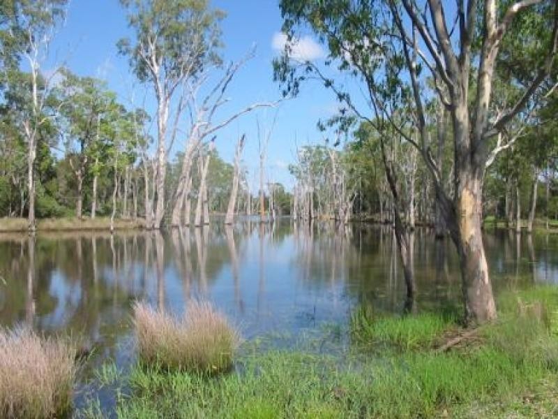 M/S 708 Jandowae, Jandowae QLD 4410