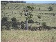 NEBO GLENDEN ROAD, Nebo QLD 4742