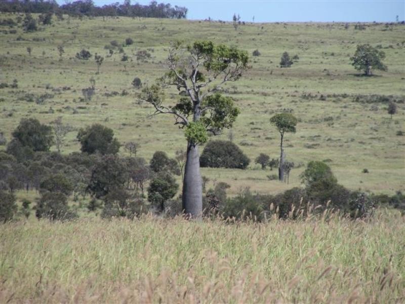 NEBO GLENDEN ROAD, Nebo QLD 4742