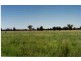Roma QLD 4455