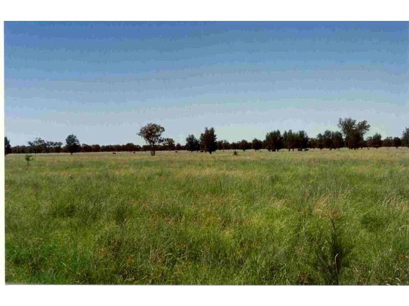 Roma QLD 4455