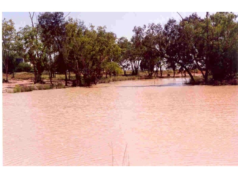 Roma QLD 4455