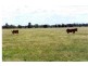 Roma QLD 4455