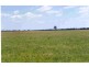 Roma QLD 4455