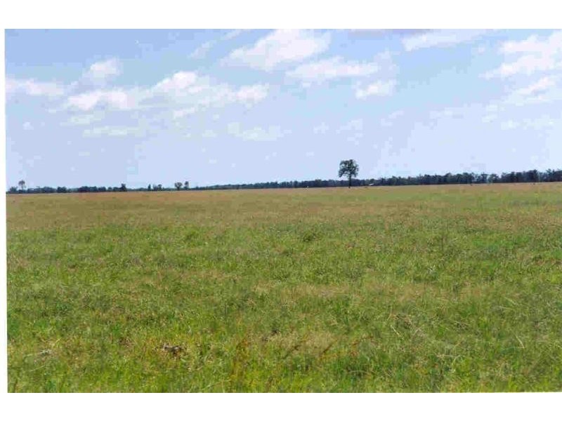 Roma QLD 4455