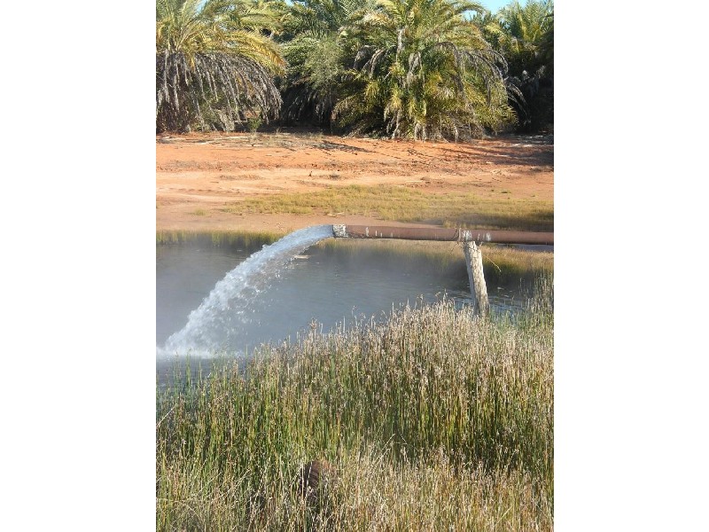 Cunnamulla QLD 4490