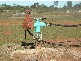 Cunnamulla QLD 4490
