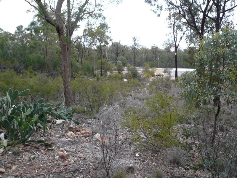 32 FAGANS ROAD, Tara QLD 4421