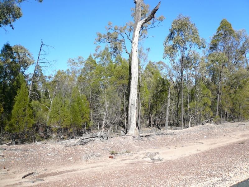 100 TIMOTHY ROAD, Tara QLD 4421