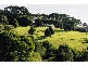4948 WATERFALL WAY, Dorrigo NSW 2453