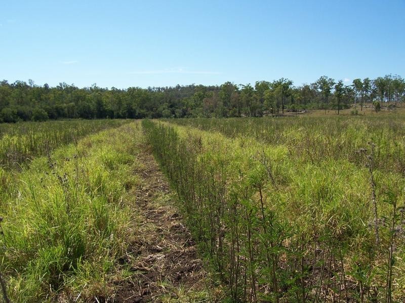 491 Delan Road, Gin Gin QLD 4671