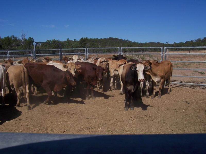 491 Delan Road, Gin Gin QLD 4671