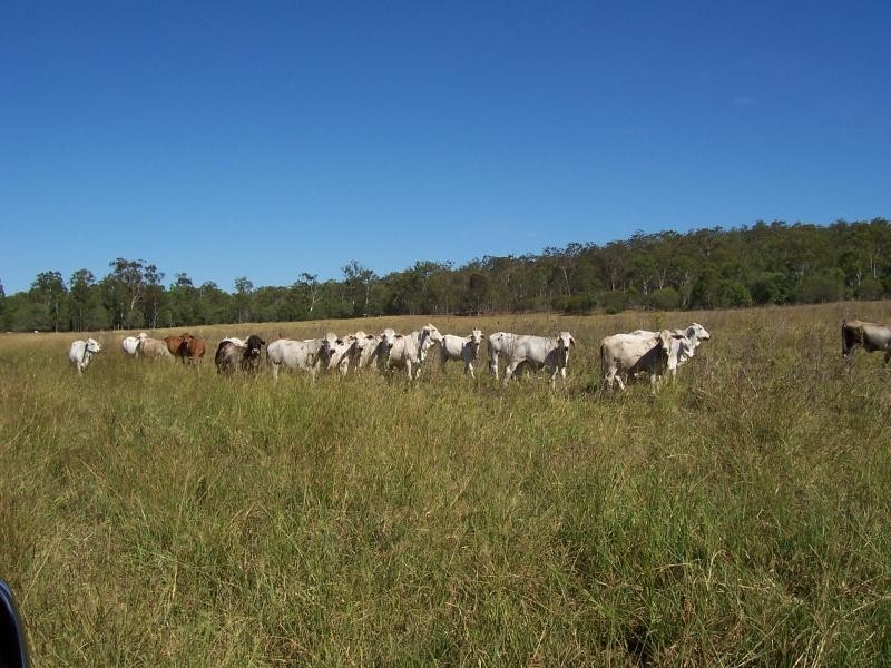 491 Delan Road, Gin Gin QLD 4671