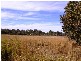 LOT 2 KUNGALA ROAD, Kungala NSW 2460