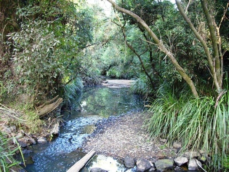 LOT 170 KANGAROO CREEK ROAD, Coutts Crossing NSW 2460