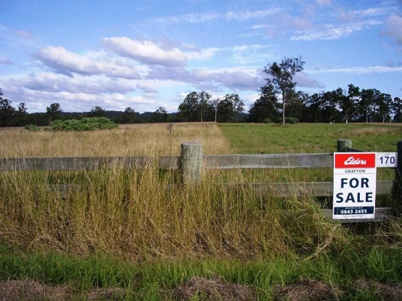 LOT 170 KANGAROO CREEK ROAD, Coutts Crossing NSW 2460