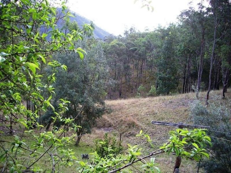 7056 OLD GLEN INNES ROAD, Dalmorton NSW 2460