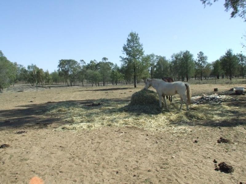 13058 CARNARVON HIGHWAY, St George QLD 4487