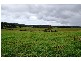 670 MOLETON ROAD, Lowanna NSW 2450