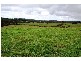 670 MOLETON ROAD, Lowanna NSW 2450