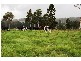 670 MOLETON ROAD, Lowanna NSW 2450
