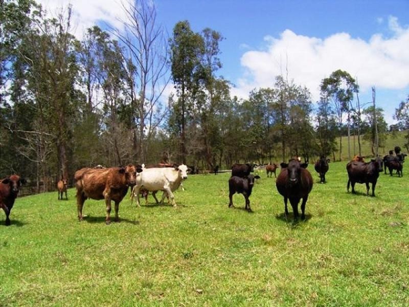 2899 GWYDIR HIGHWAY, Jackadgery NSW 2460