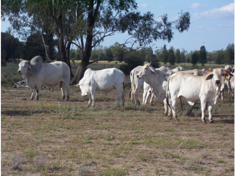 2560 acres at Columboola via, Miles QLD 4415