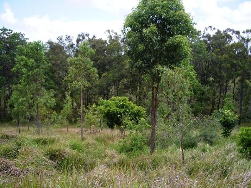 10 WEEMALA DRIVE, Waterview Heights NSW 2460