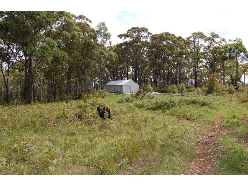 DEERVALE ROAD, Dorrigo NSW 2453