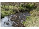 DEERVALE ROAD, Dorrigo NSW 2453