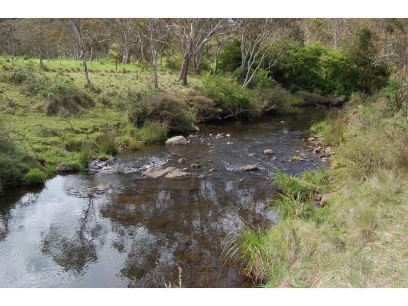 DEERVALE ROAD, Dorrigo NSW 2453